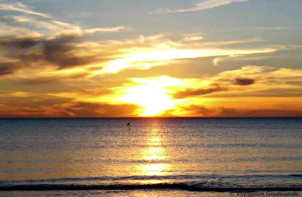 Punta del Este (10)