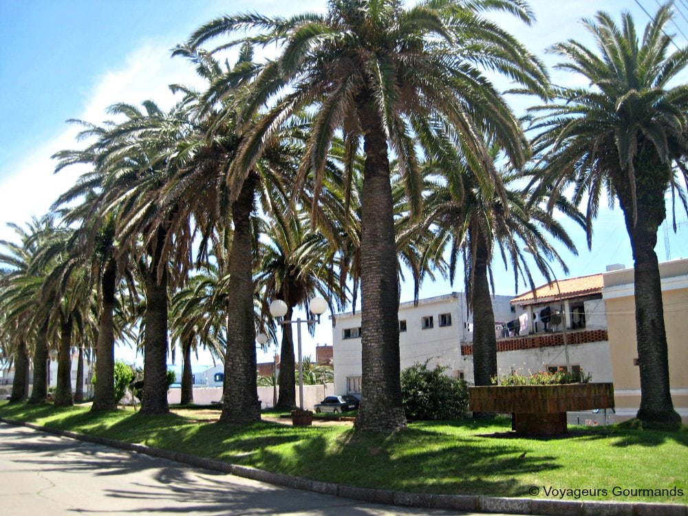 Punta del Este (5)