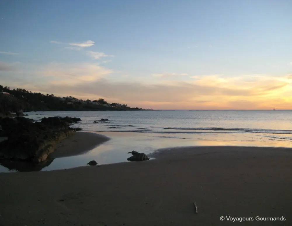 Punta del Este (9)