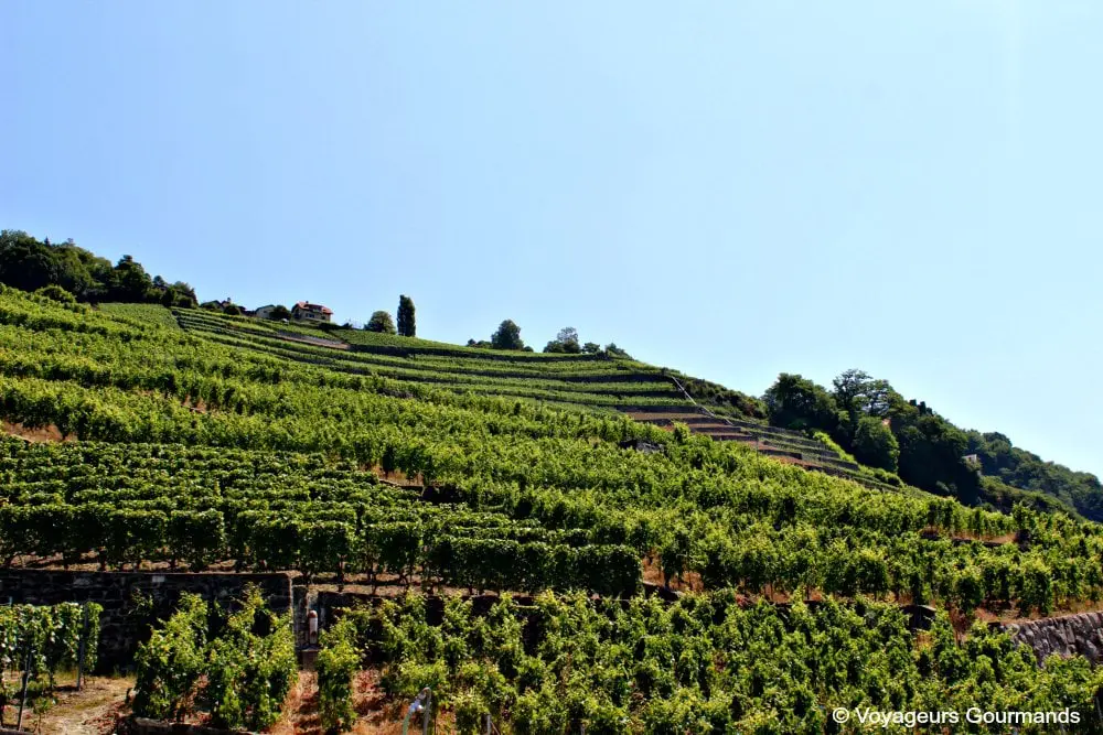 autour du lac Léman