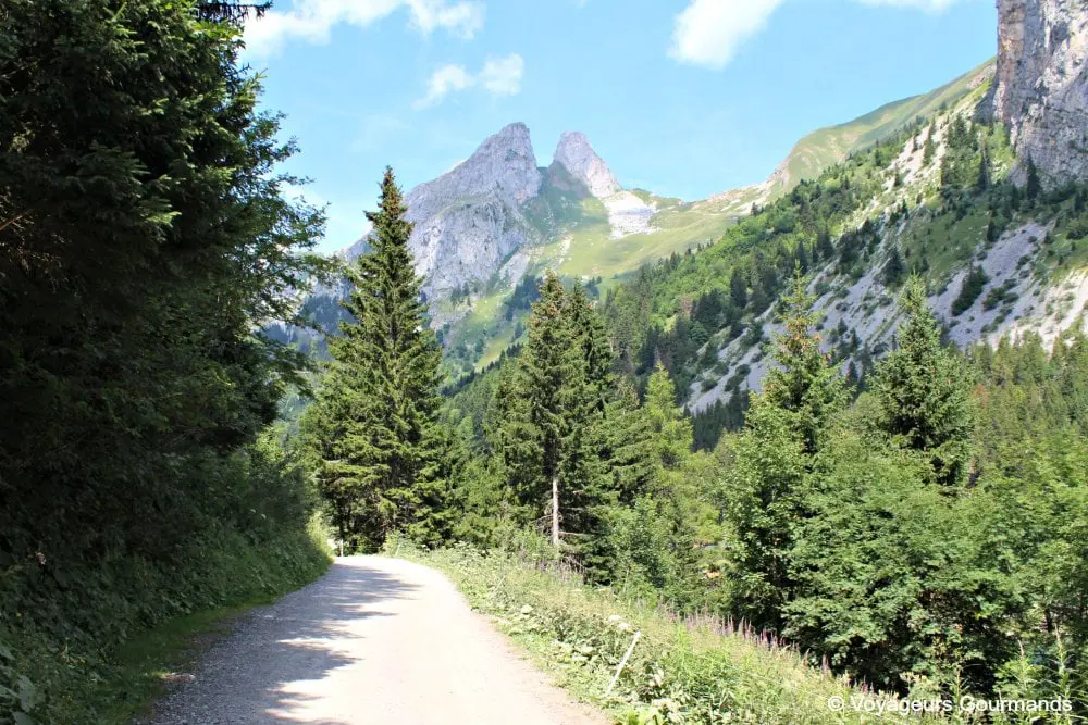 randonnée au lac de taney
