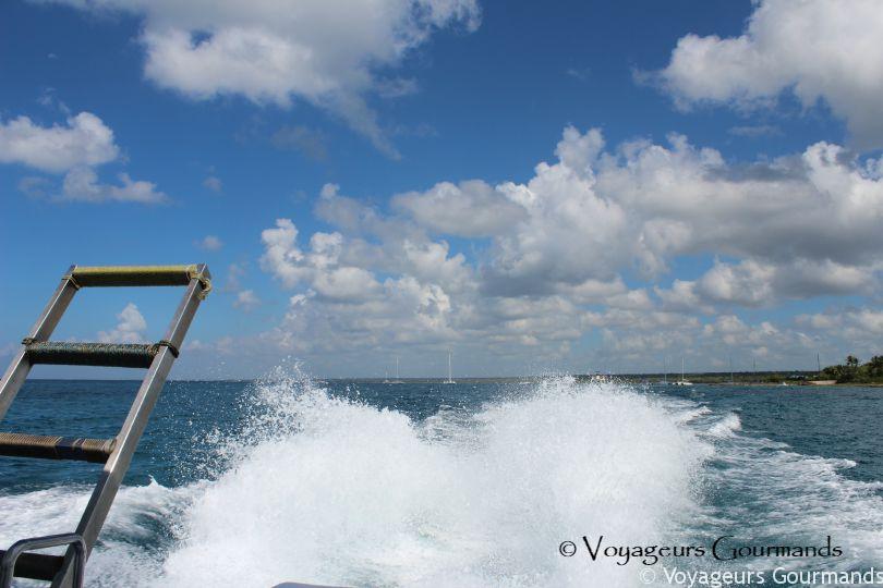 saona