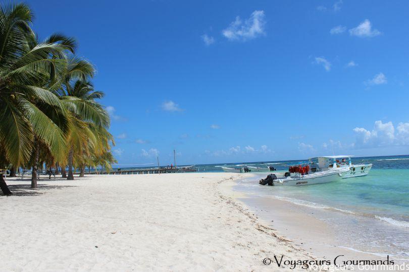 saona