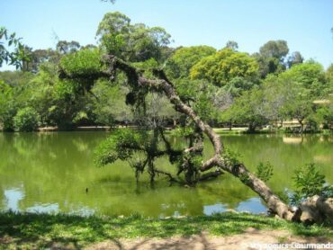 Porto Alegre 52