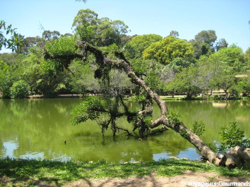 Porto Alegre 52