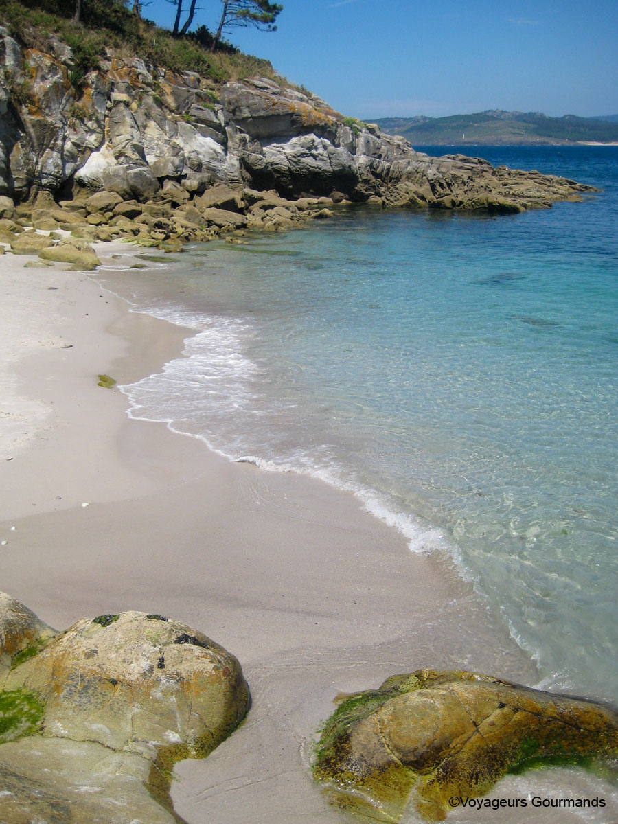 iles cies