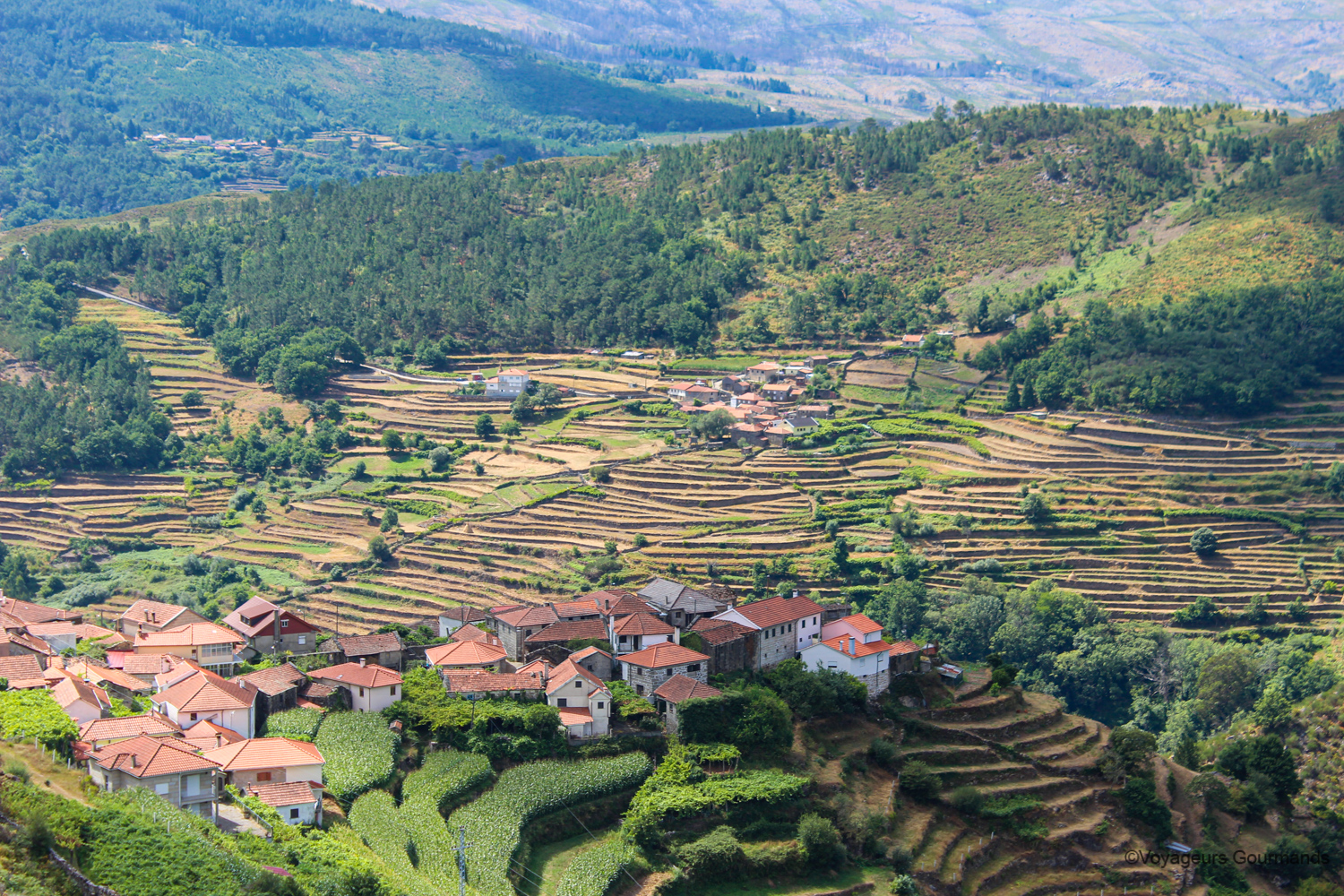 nord du portugal