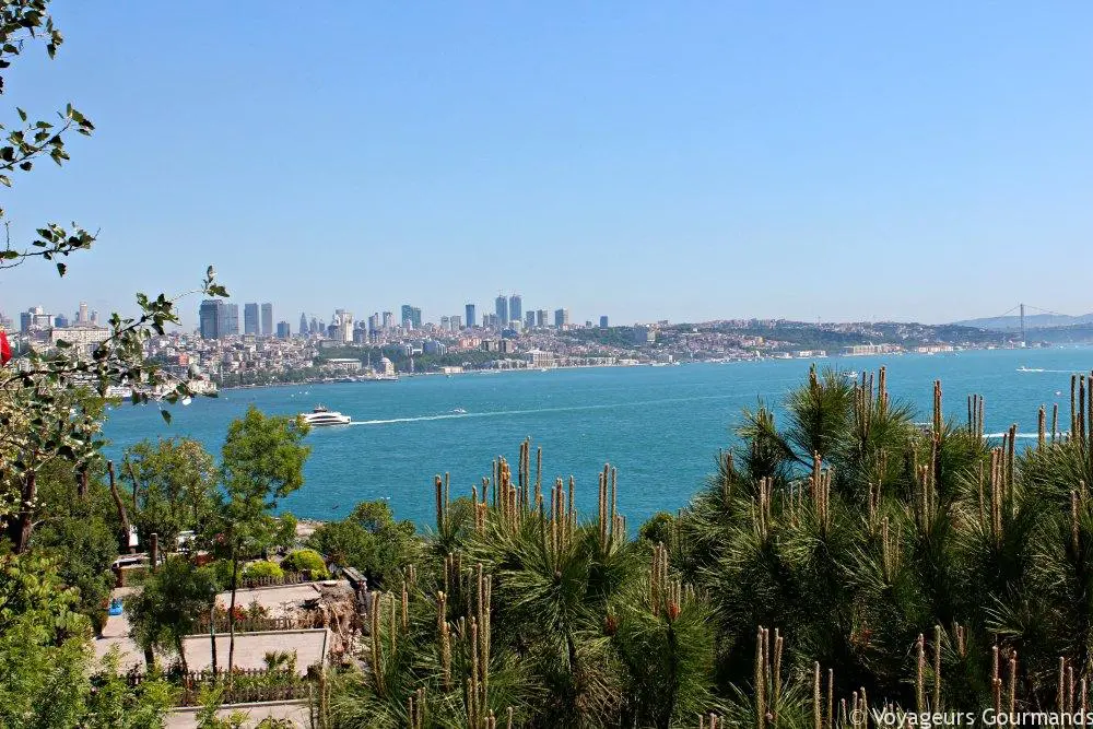 Istanbul 12 1
