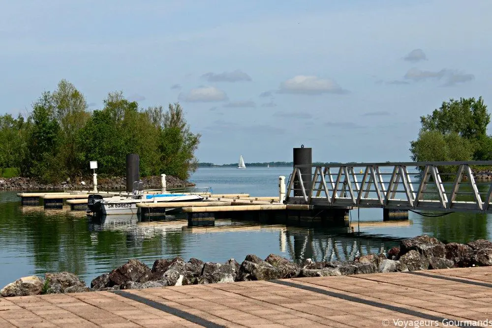 Lac du der 10