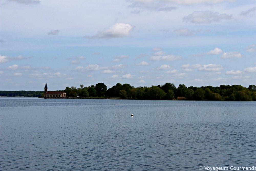 Lac du der (13)