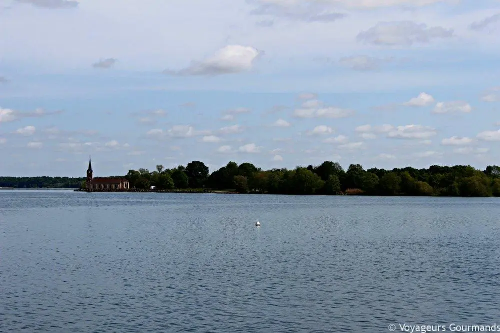 Lac du der (13)