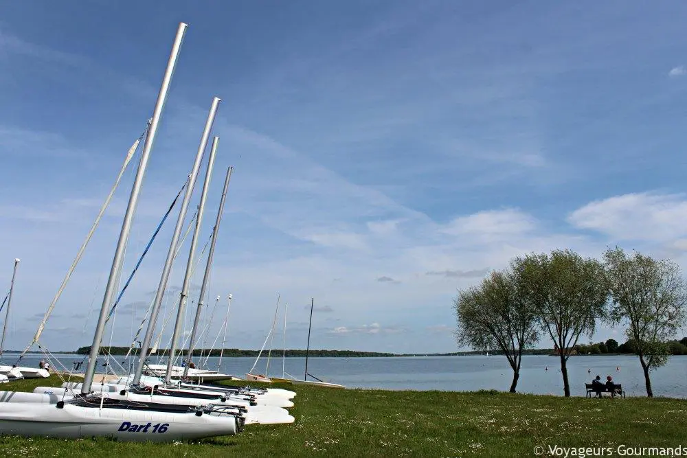 Lac du der 15