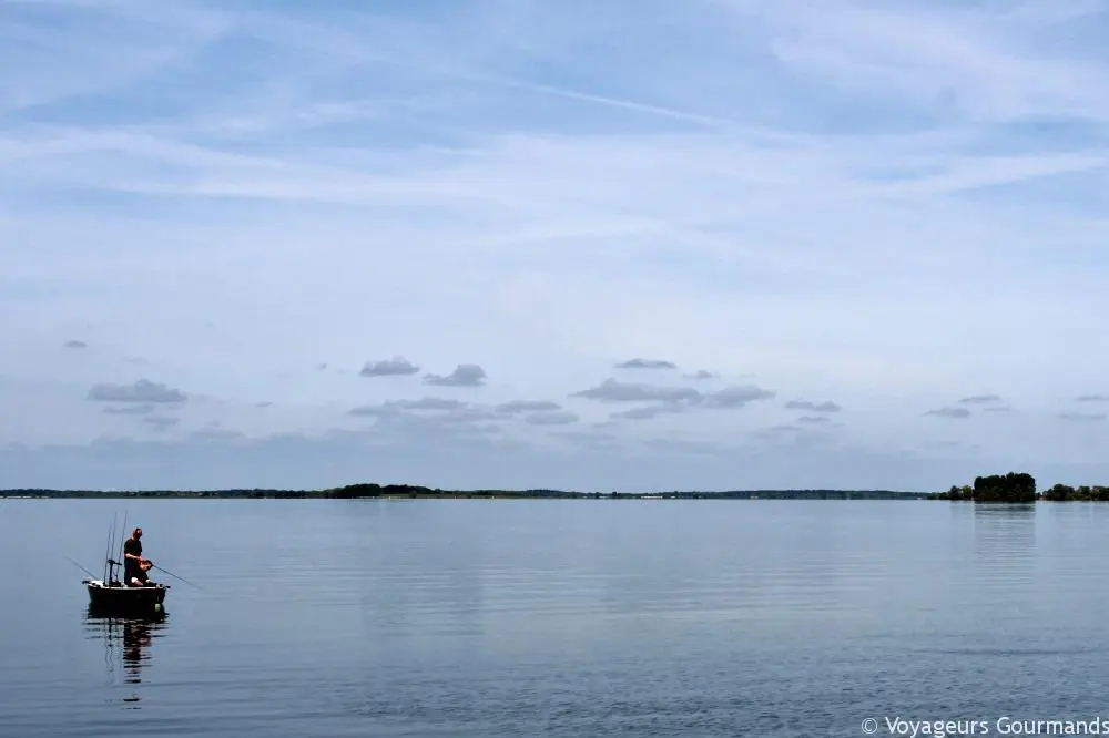 Lac du der (20)
