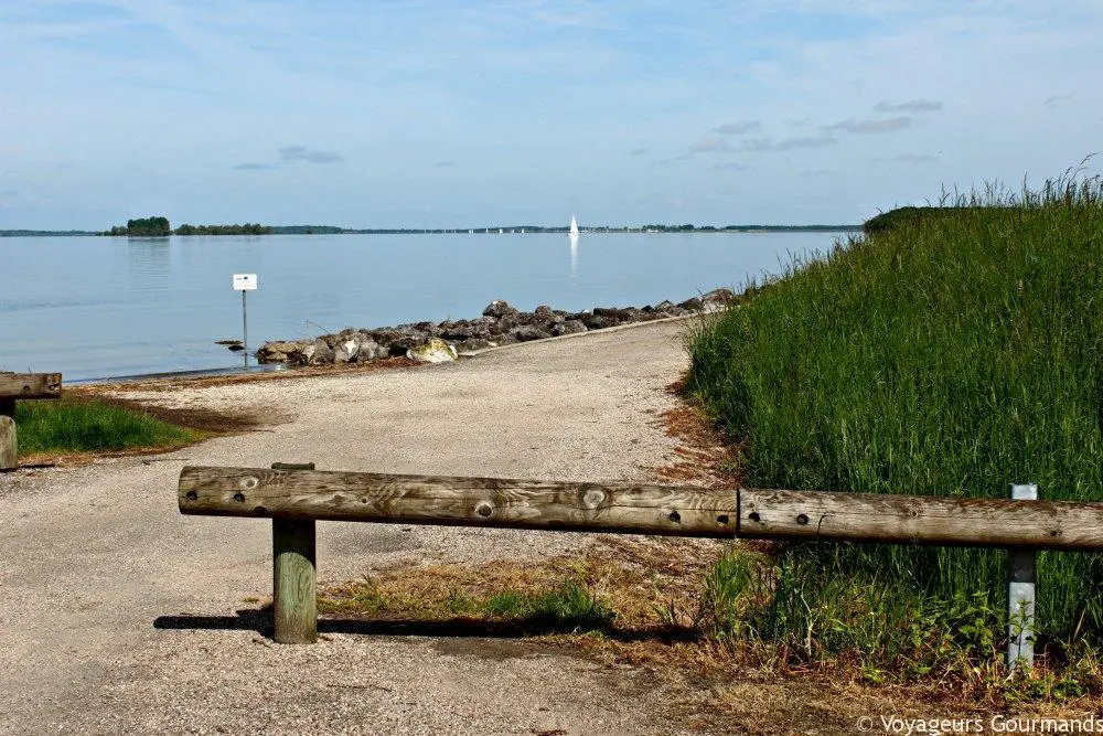 Lac du der 4