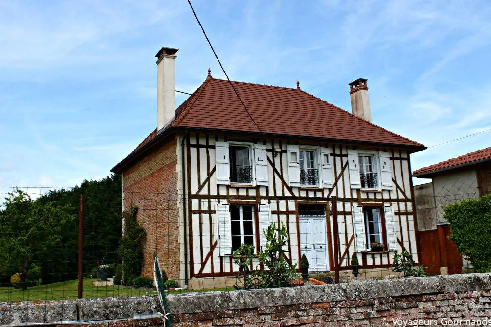 Lac du der 6