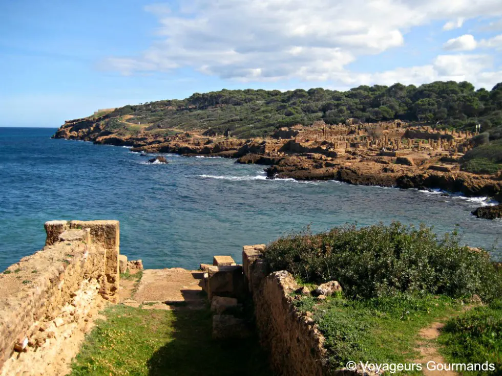 Tipaza 1