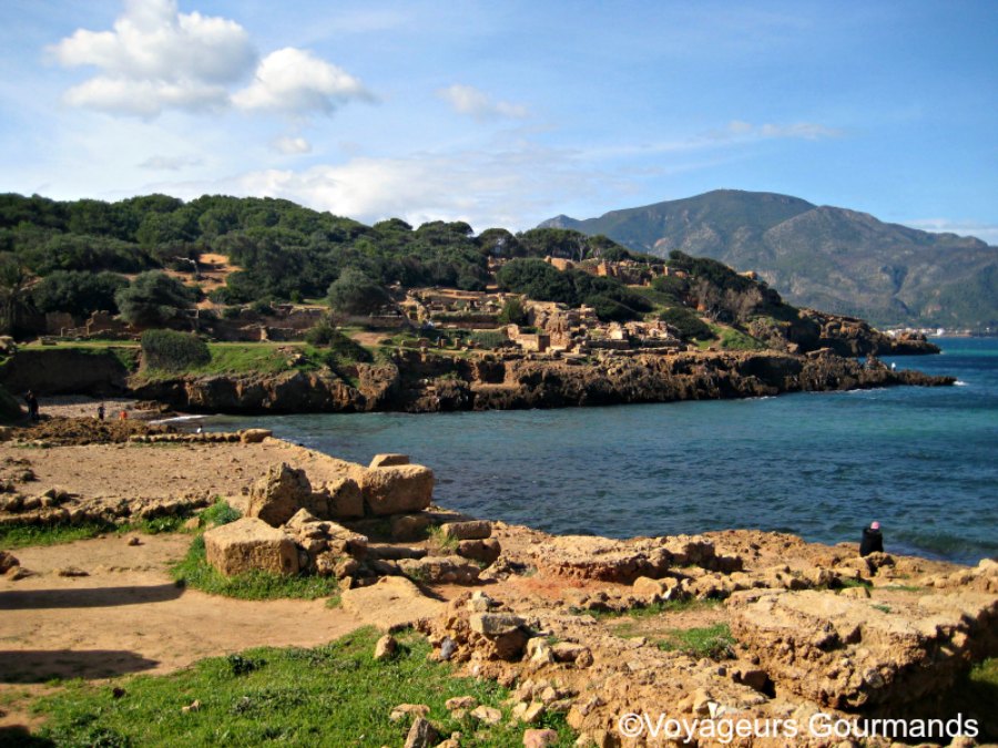 ruines de tipaza