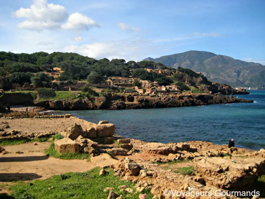 Tipaza 10