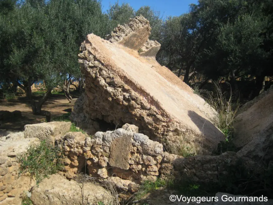 Tipaza 12