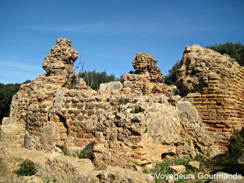 ruines de tipaza