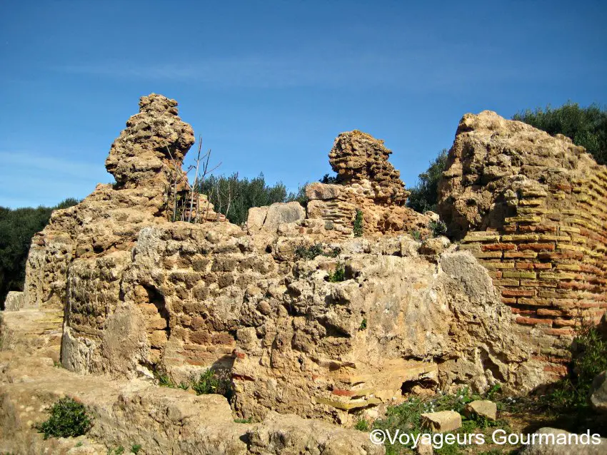 Tipaza 13