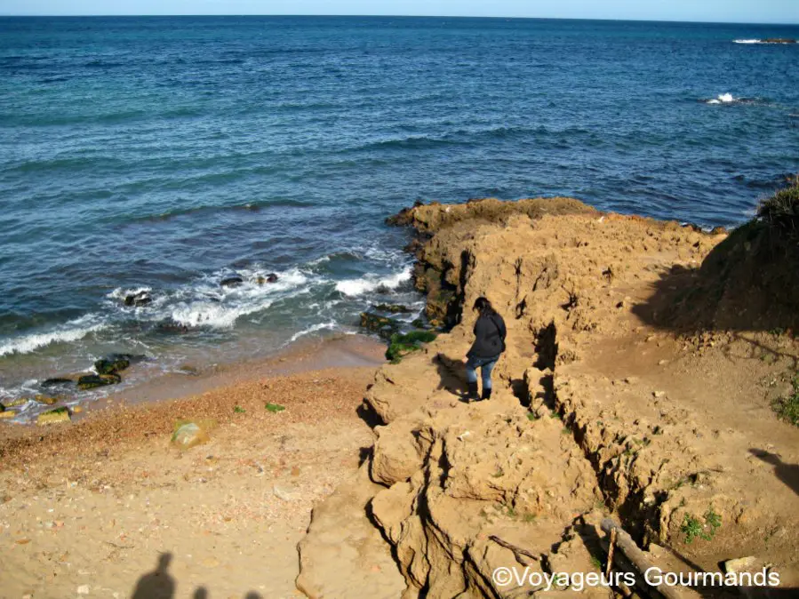 Tipaza 14