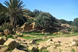 ruines de tipaza