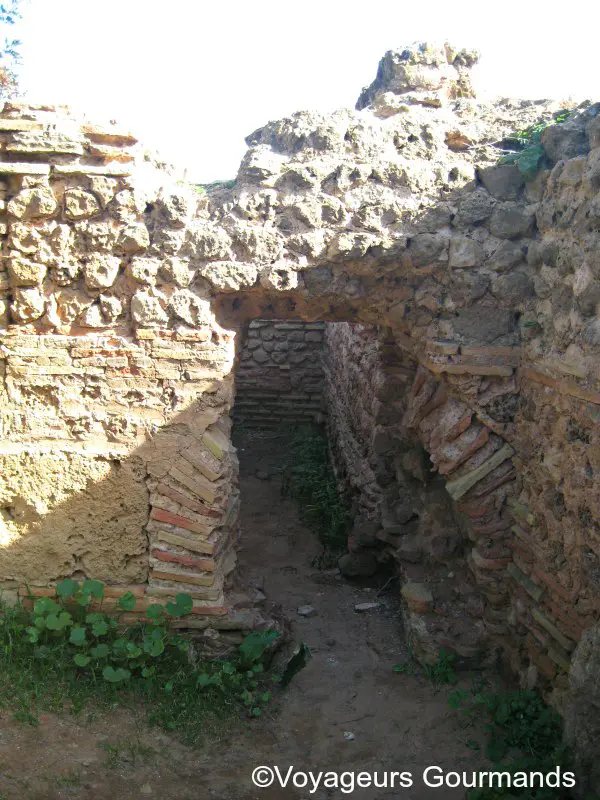 Tipaza 18