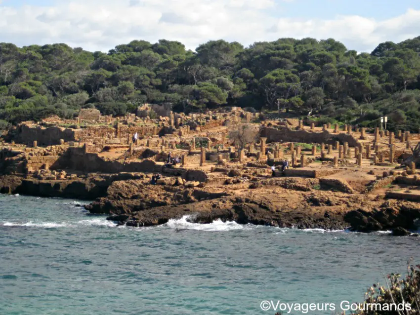 Tipaza 19