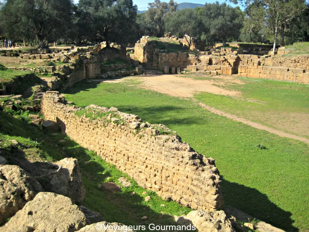 Tipaza 2