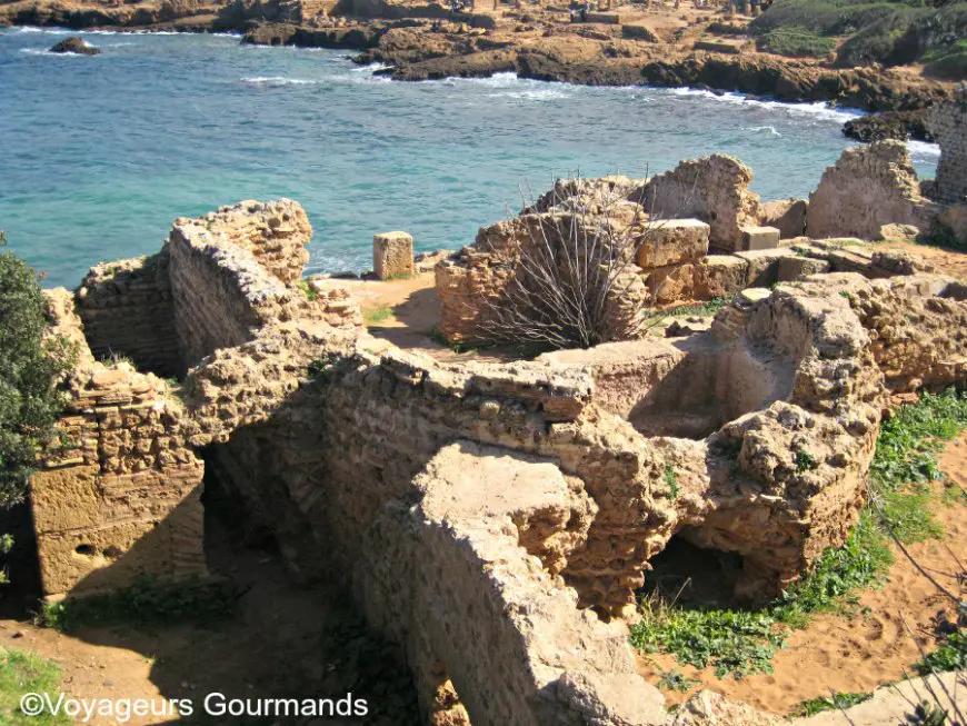 Tipaza 20