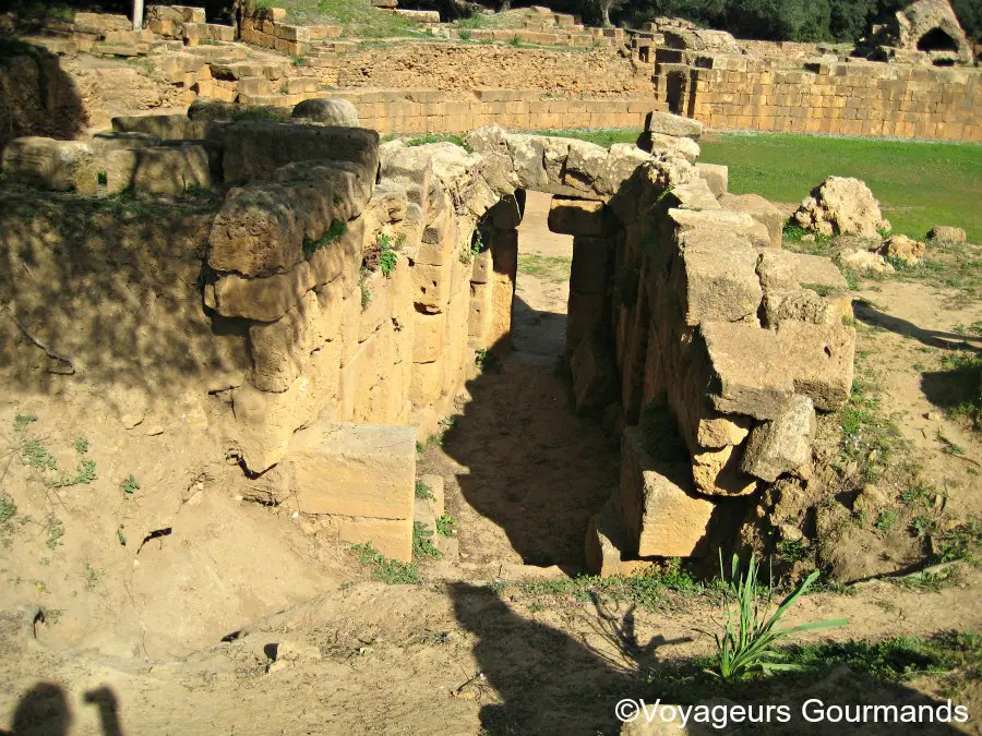 Tipaza 4