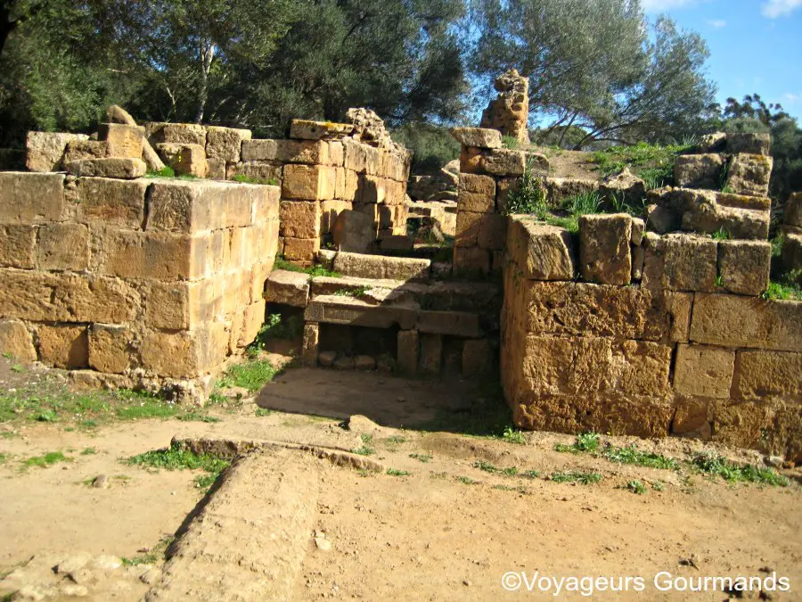 Tipaza 5