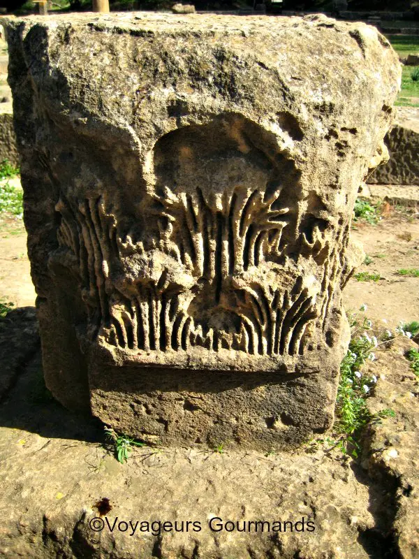 Tipaza 6