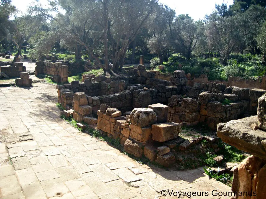 Tipaza 8