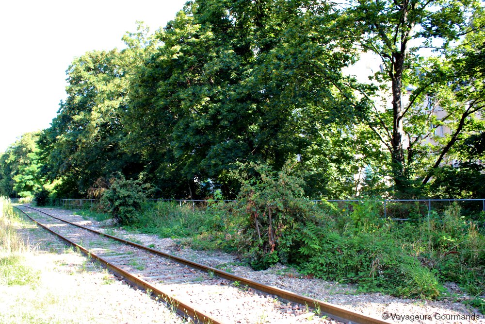 Petite ceinture du 15e 1