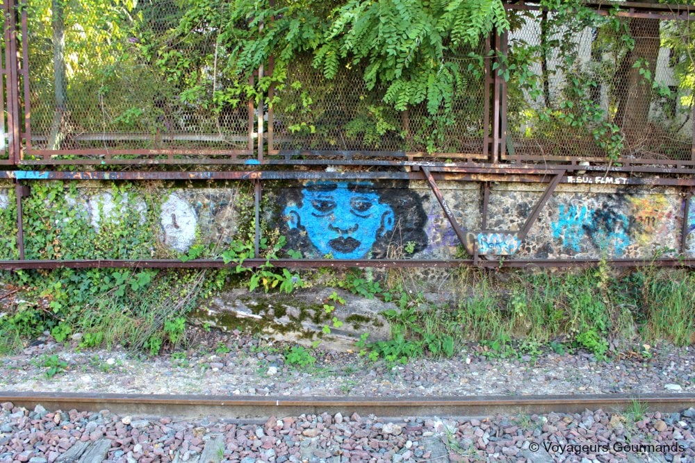 Petite ceinture du 15e 2