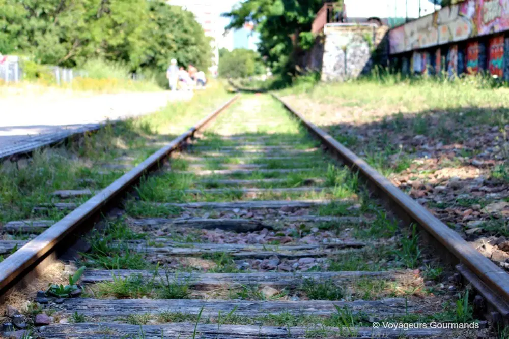 Petite ceinture du 15e