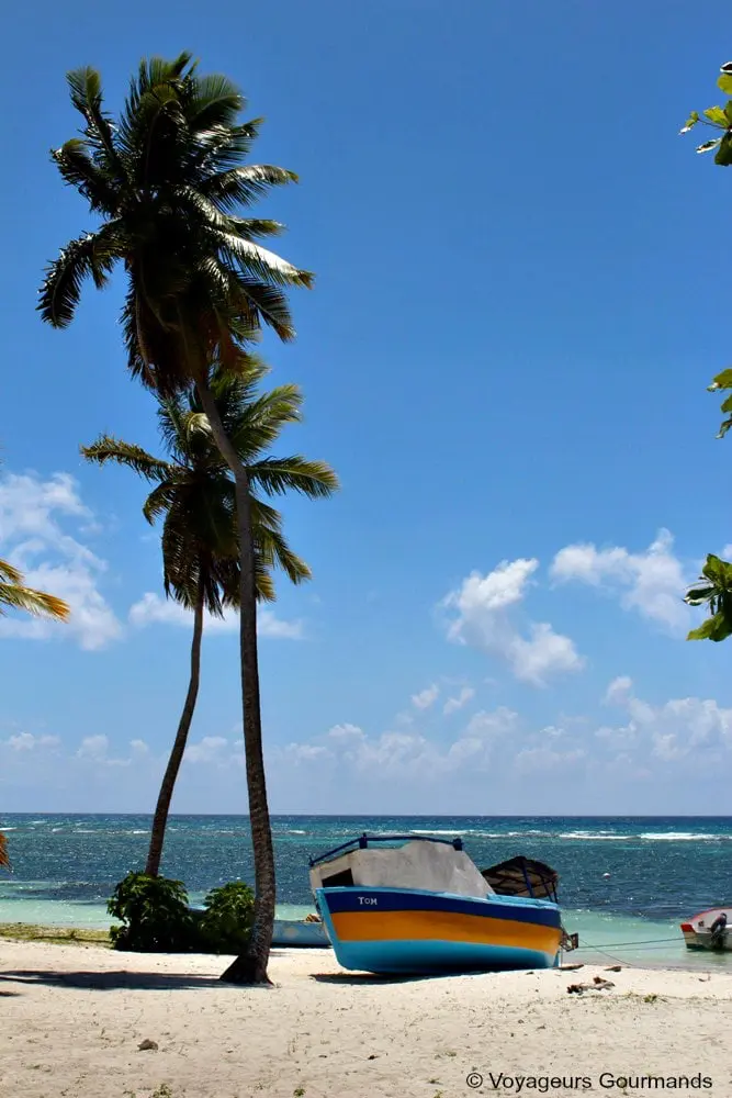 punta-cana-13