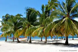 Voyage en République Dominicaine