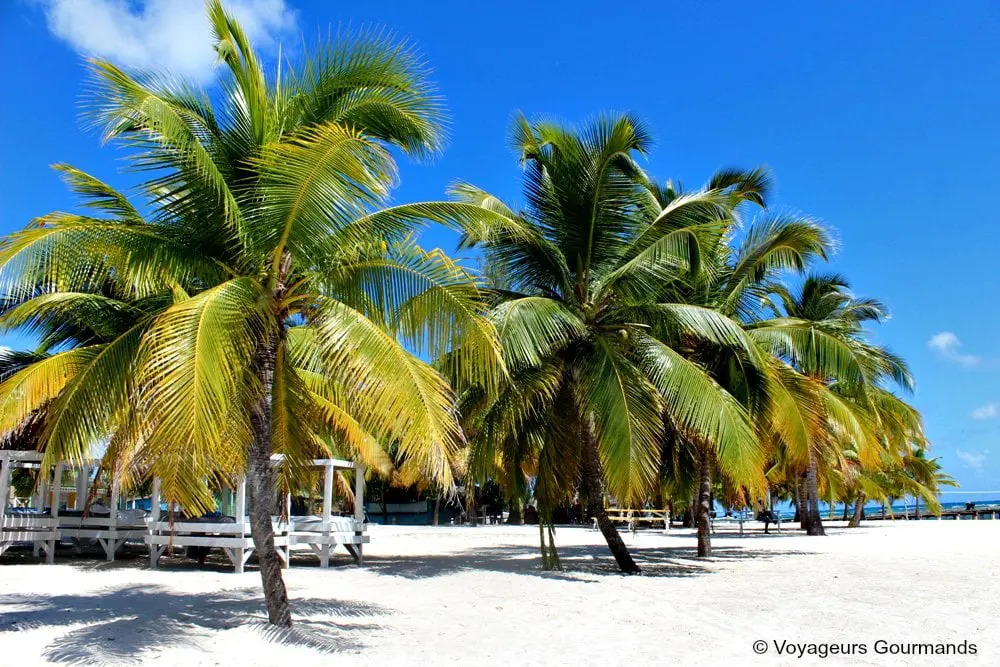 punta-cana-16