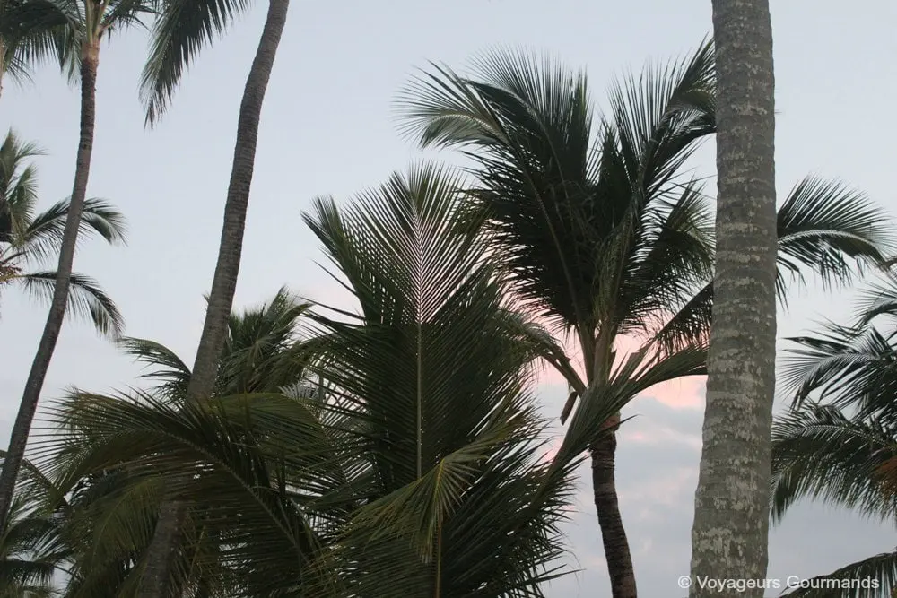 punta-cana-5