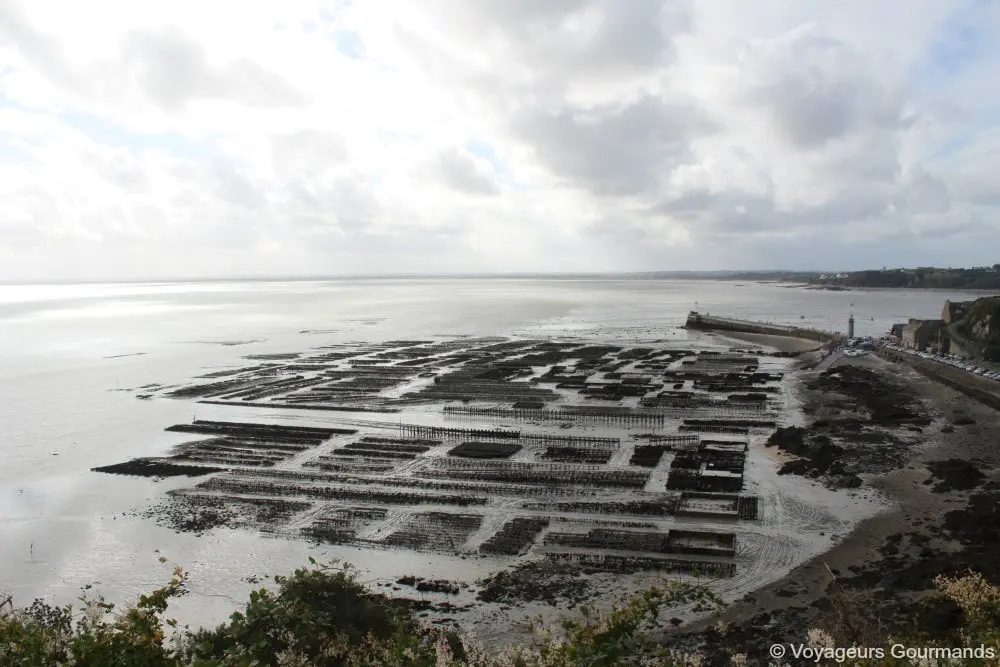 Cancale 11