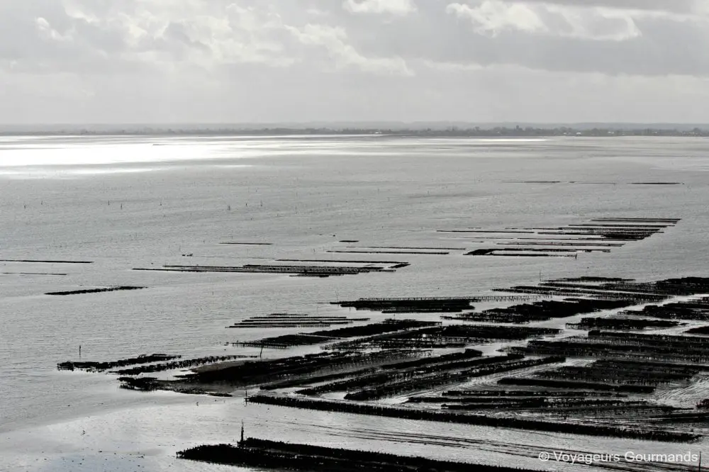 Cancale 13