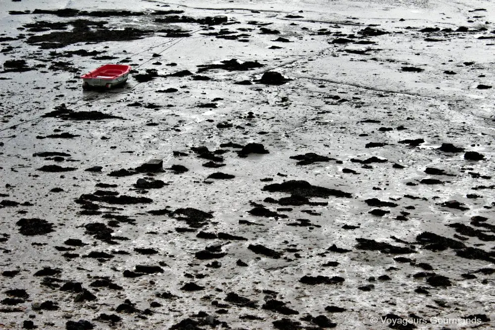 Cancale 15