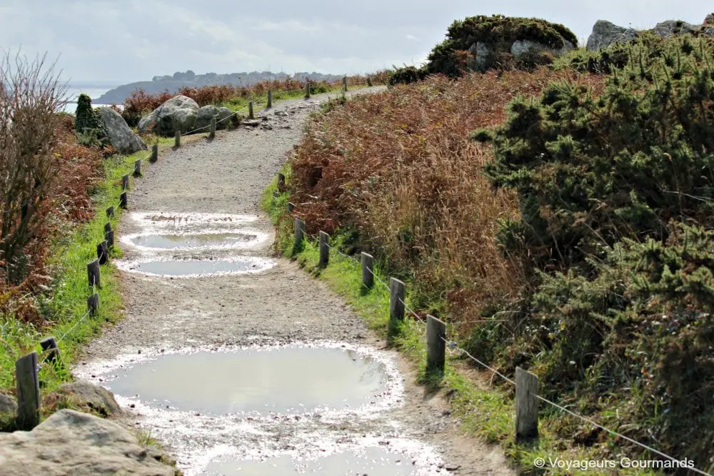Cancale 20