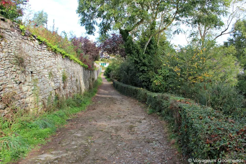 Cancale 4