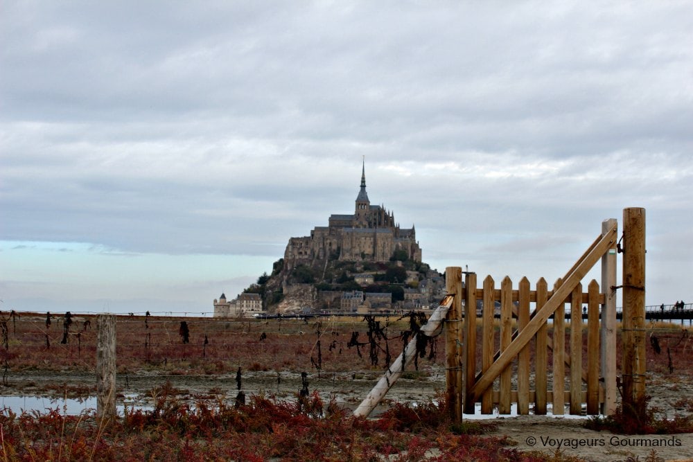 mont-saint-michel-28