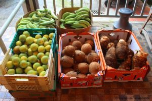 cuisine martiniquaise18