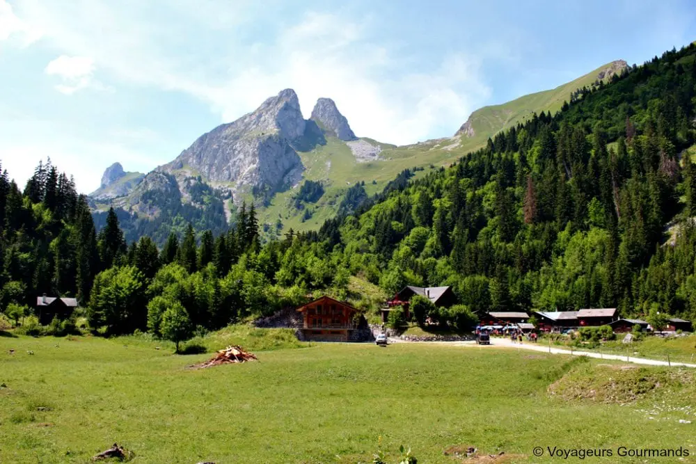 randonnée au lac de taney
